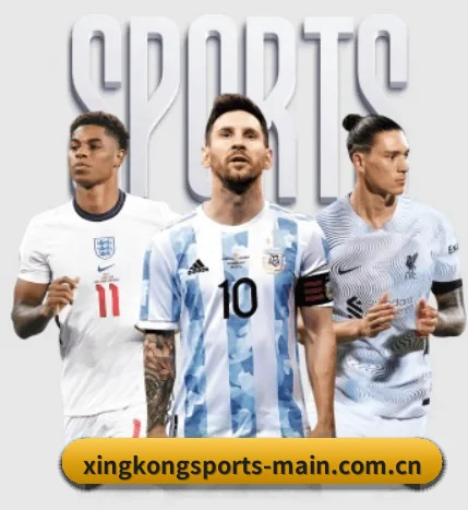 五大服务分区,信息按项目分类